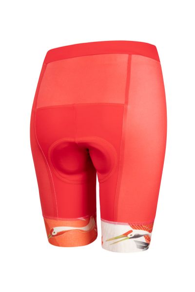 FeiXIANG Fietsbroek Voor Dames, Korte Broek, Fiets, Ondergoed 4D Gelvoering Fietsbroek Shorts Ademend Antislip